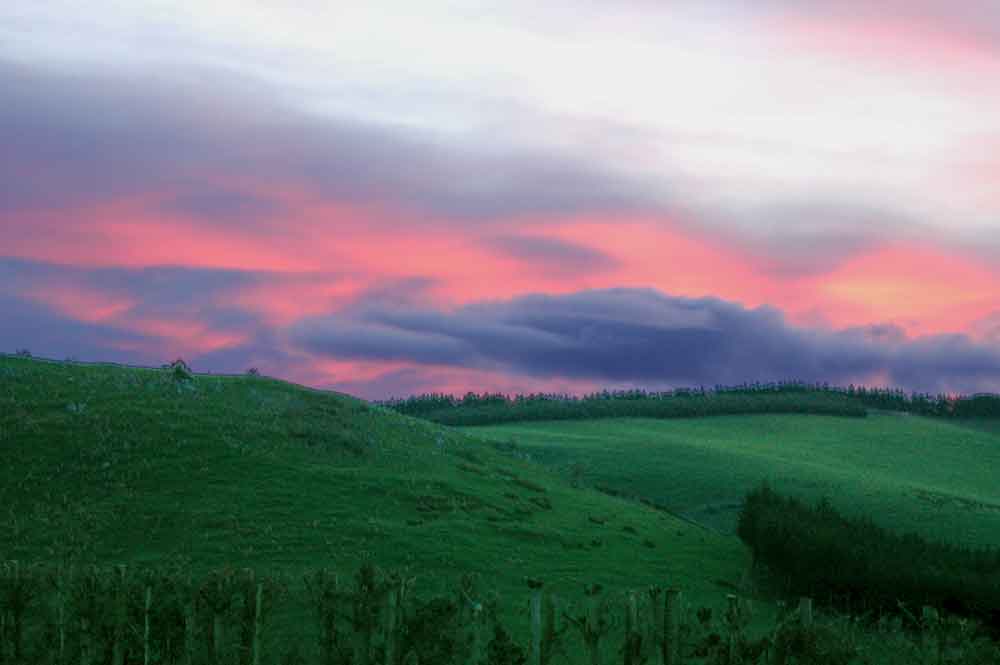 217 - Nueva Zelanda, atardecer